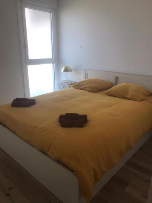 Superbe Appartement Arcachon ラ・テスト・ド・ビュシュ エクステリア 写真